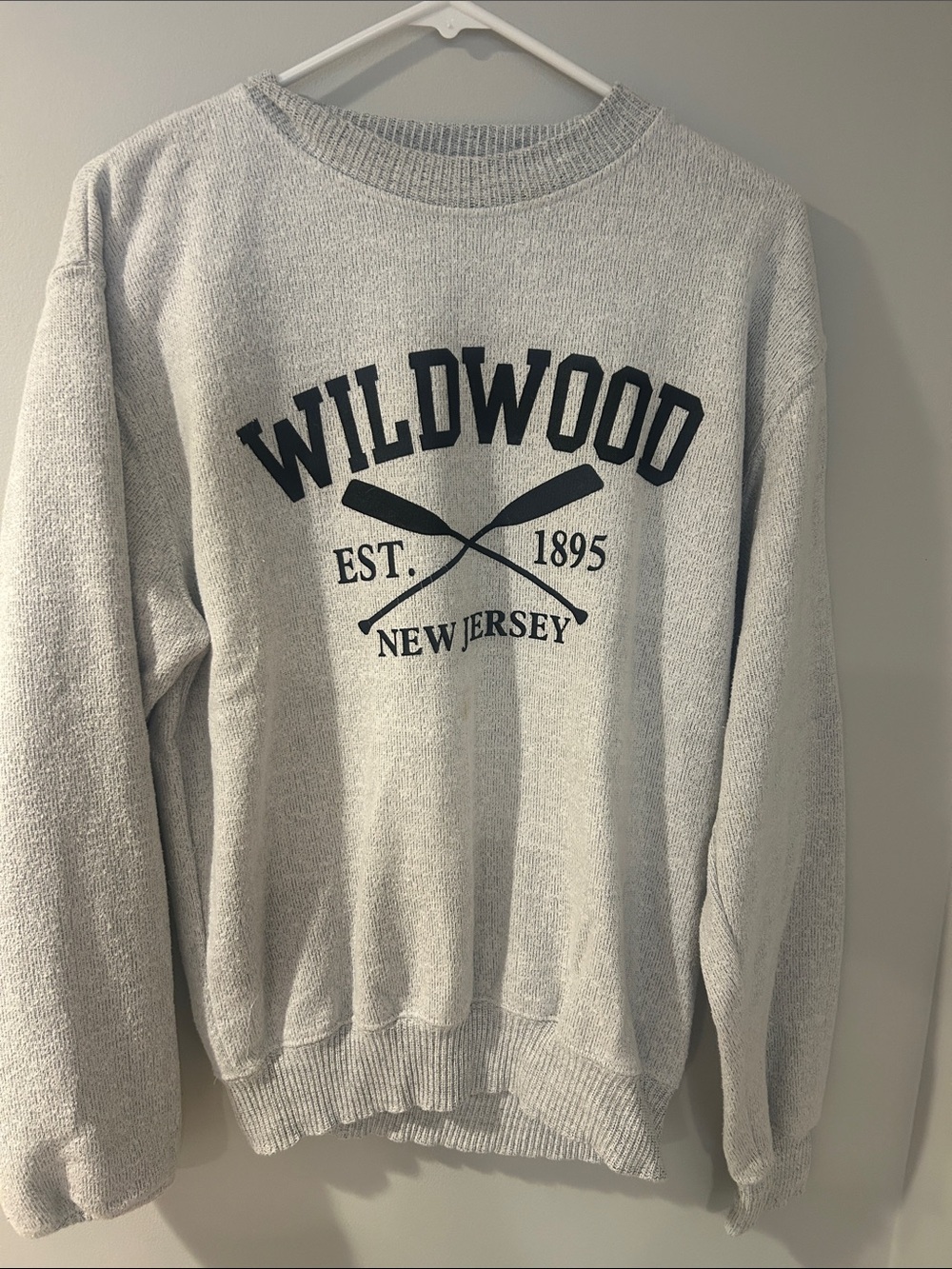 Wildwood Crewneck Sweatshirt in Light Gray with Navy Graphic - Picture 1 of 2